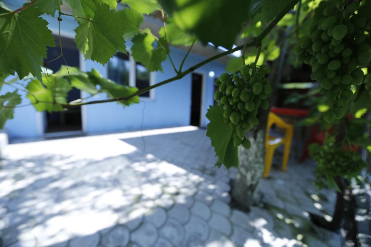 Lilia Guesthouse Sighnaghi Luaran gambar