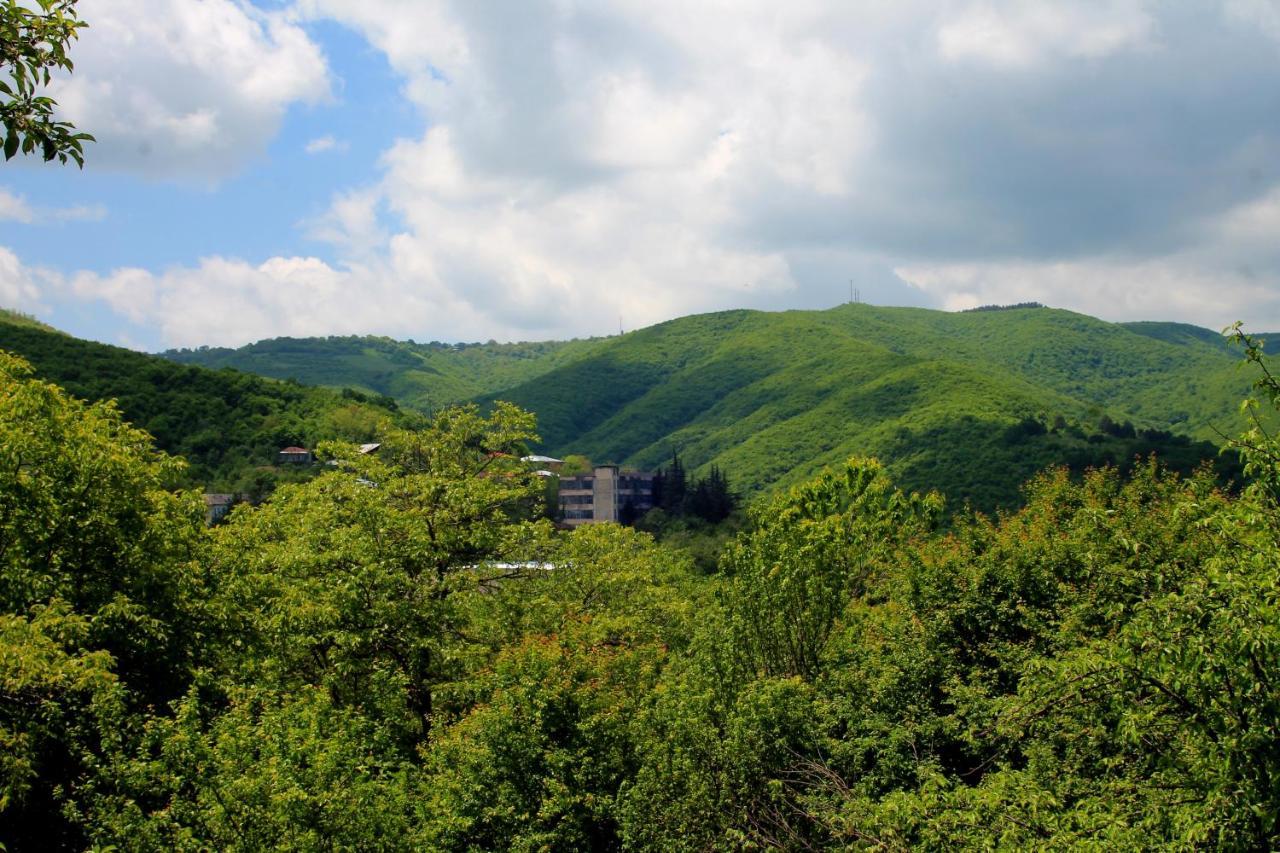 Lilia Guesthouse Sighnaghi Luaran gambar