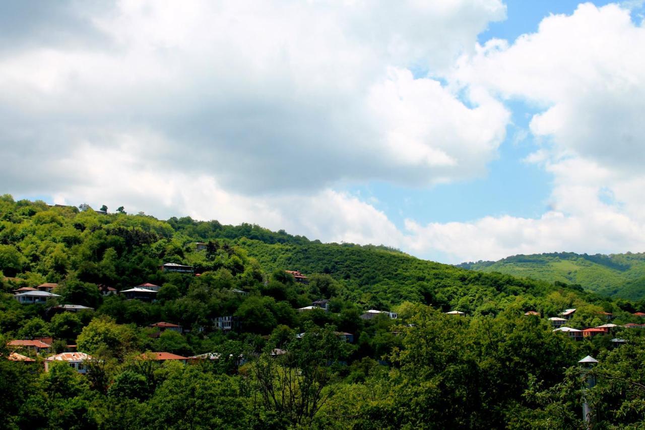 Lilia Guesthouse Sighnaghi Luaran gambar